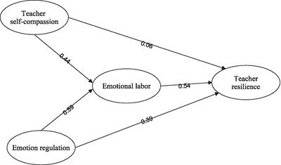 Examining the effects of teacher self-compassion, emotion regulation, and emotional labor strategies as predictors of teacher resilience in EFL context
